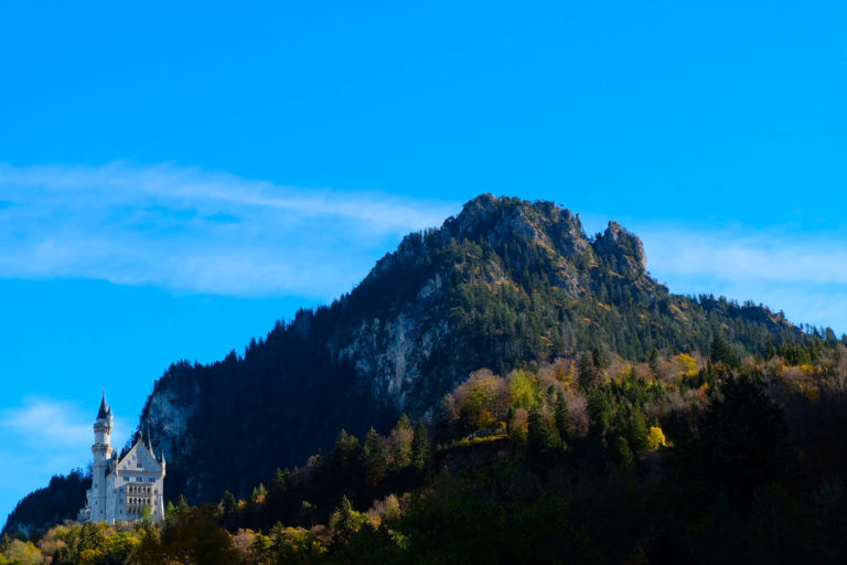 Neuschwanstein castle in its Natural Habitat